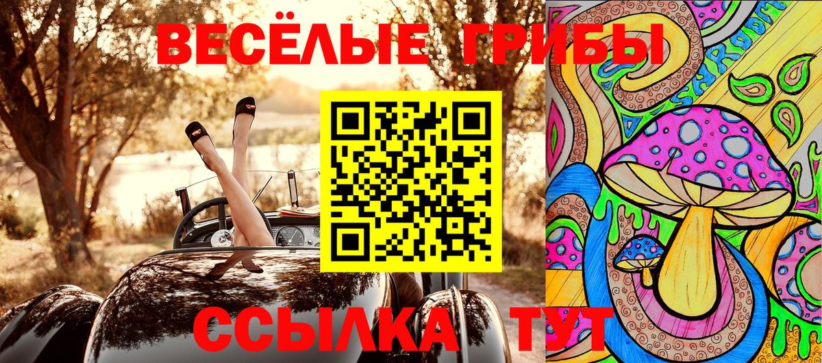 где найти наркотики  Галлюциногенные грибы MAGIC MUSHROOMS  Вход с VPN  Галлюциногенные грибы MAGIC MUSHROOMS  Советск 