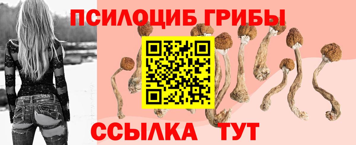 Галлюциногенные грибы мицелий Советск