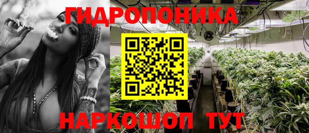 Бошки Шишки Bruce Banner  Конопля White Widow  Советск  Вход с VPN 