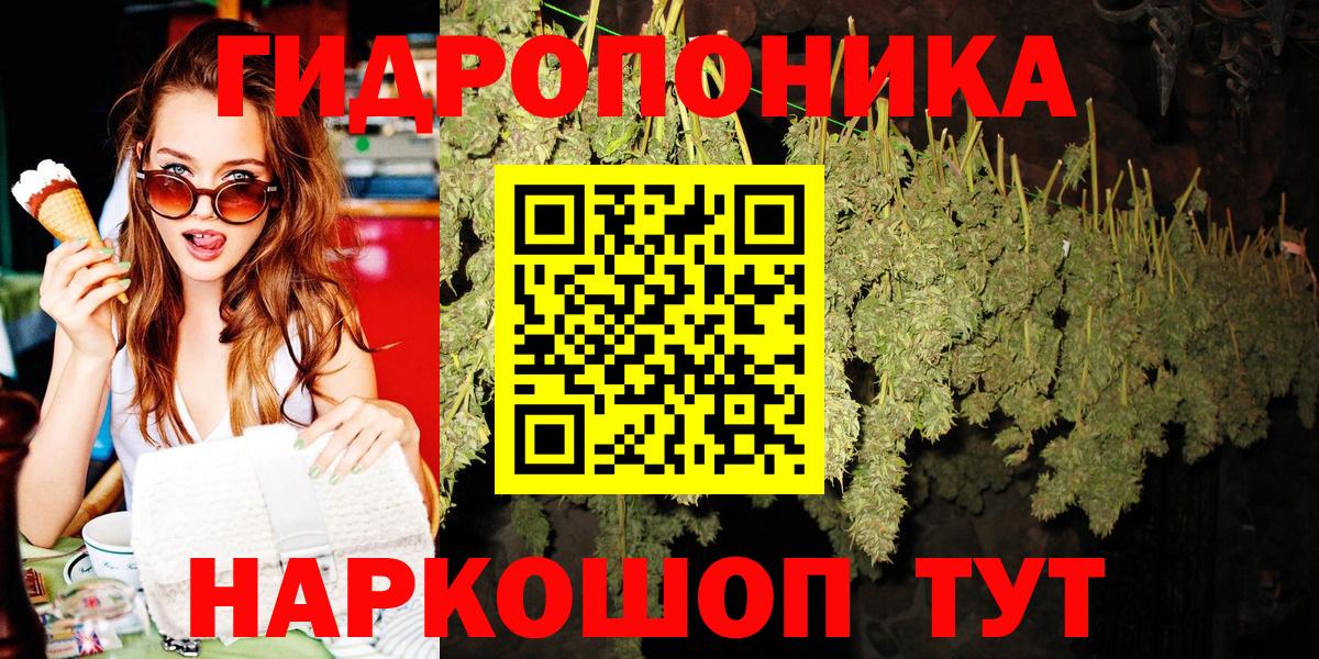 Конопля марихуана Советск